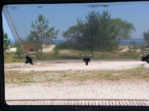 20140724_123534