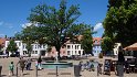 DSC00981